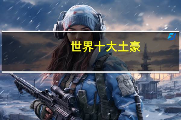 世界十大土豪