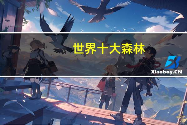 世界十大森林
