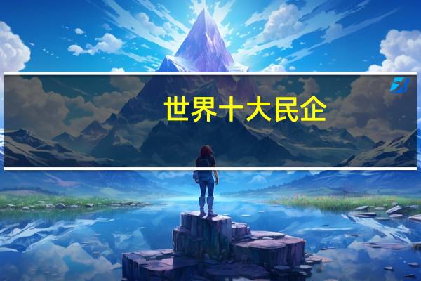 世界十大民企