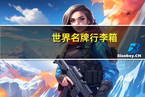 世界名牌行李箱