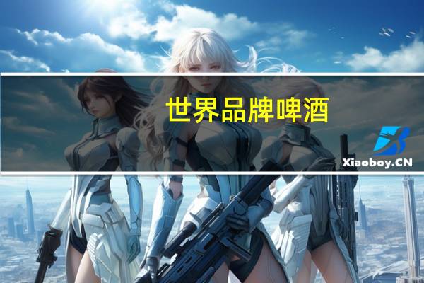 世界品牌啤酒
