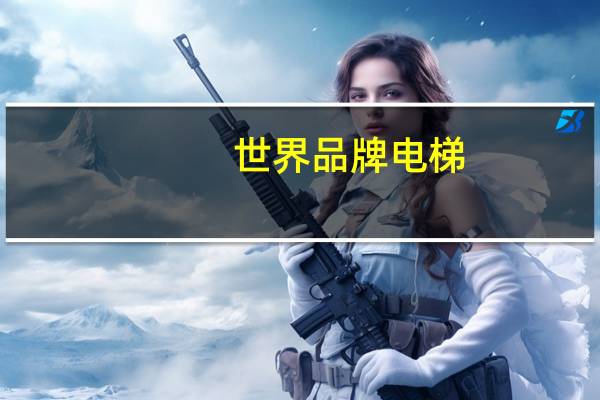 世界品牌电梯