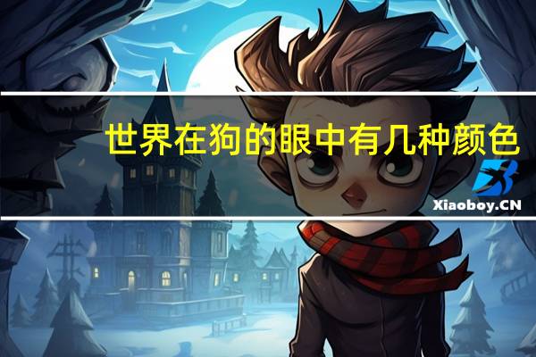 世界在狗的眼中有几种颜色