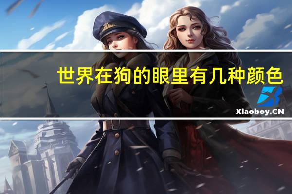 世界在狗的眼里有几种颜色