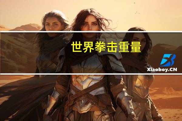 世界拳击重量