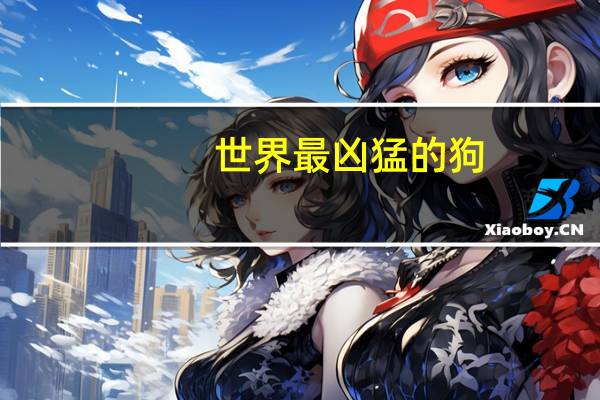世界最凶猛的狗