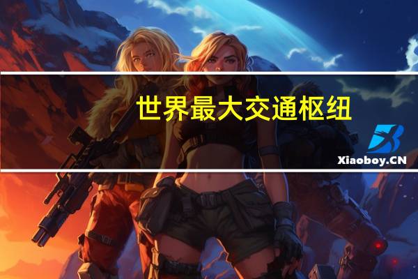 世界最大交通枢纽