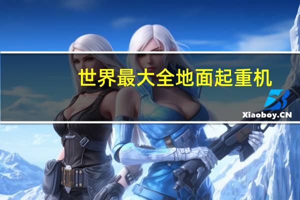 世界最大全地面起重机