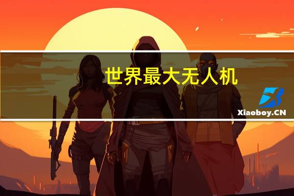 世界最大无人机