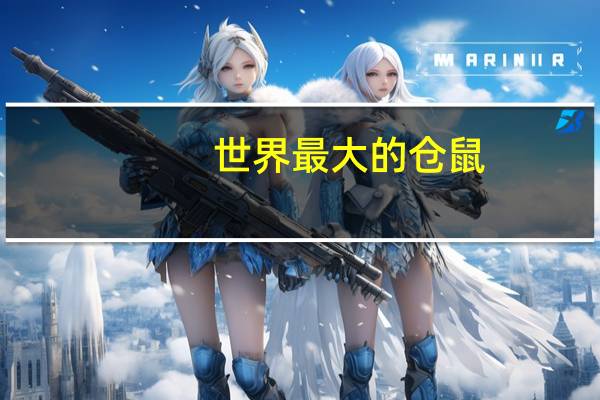 世界最大的仓鼠