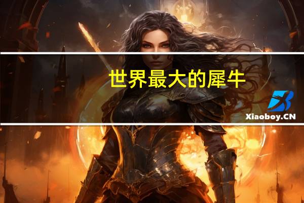 世界最大的犀牛
