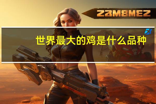 世界最大的鸡是什么品种