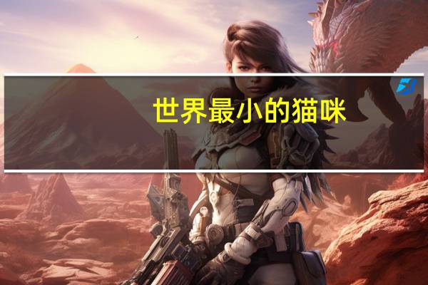 世界最小的猫咪