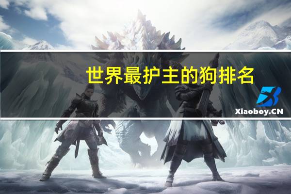 世界最护主的狗排名