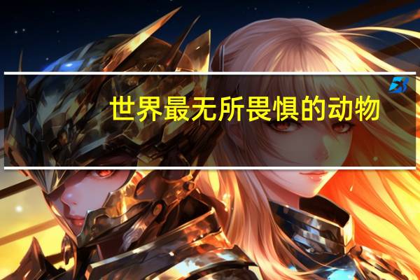世界最无所畏惧的动物