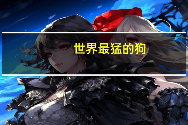 世界最猛的狗