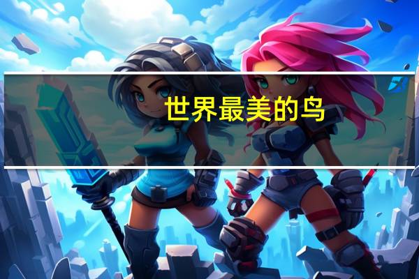 世界最美的鸟