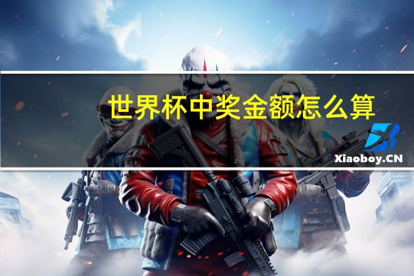 世界杯中奖金额怎么算