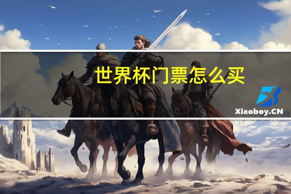世界杯门票怎么买