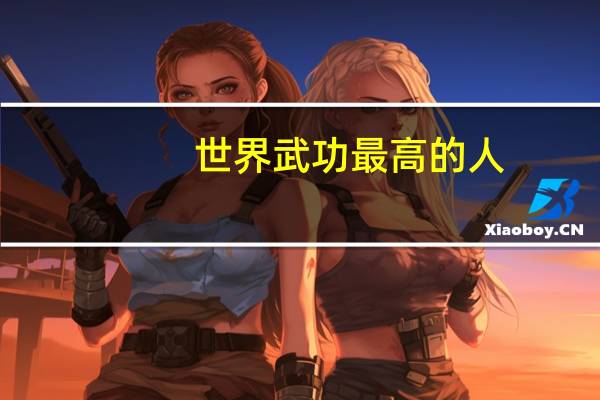世界武功最高的人