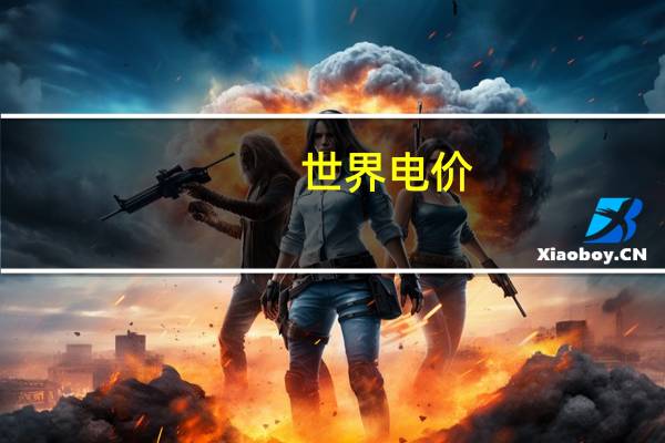 世界电价