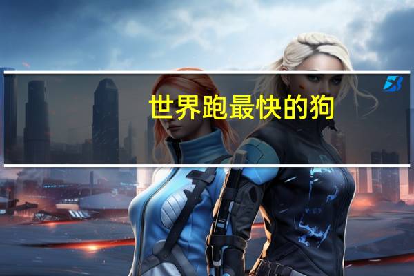 世界跑最快的狗