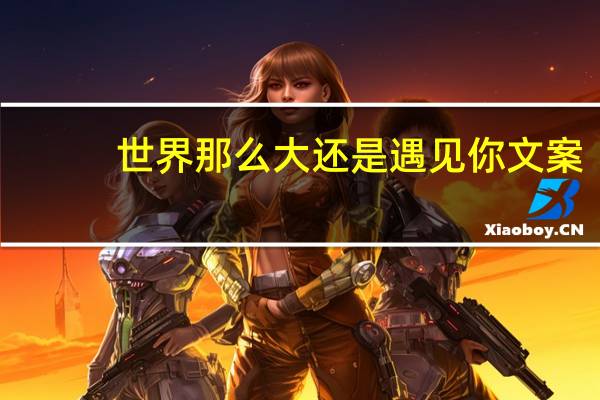 世界那么大还是遇见你文案