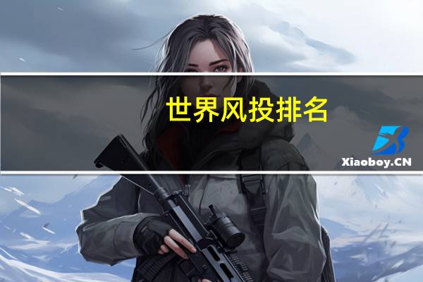 世界风投排名