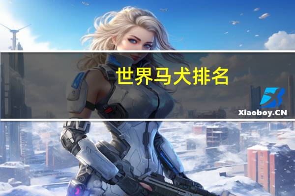 世界马犬排名