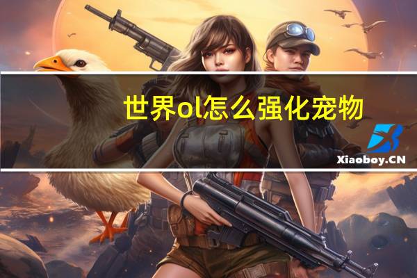 世界ol怎么强化宠物