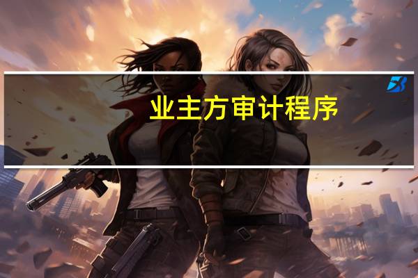 业主方审计程序