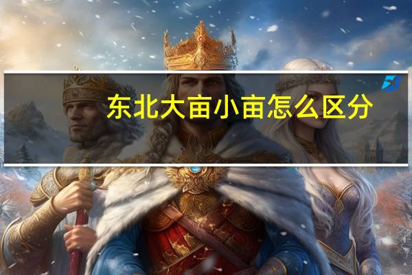 东北大亩小亩怎么区分