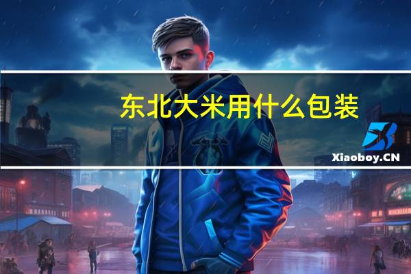 东北大米用什么包装
