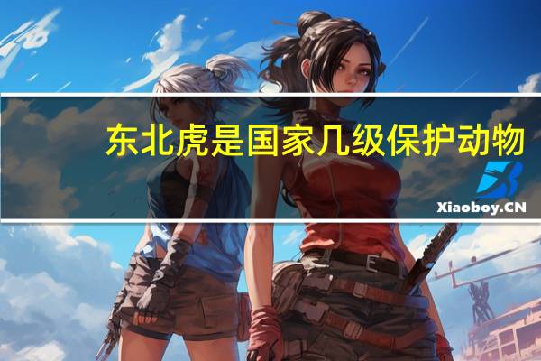 东北虎是国家几级保护动物