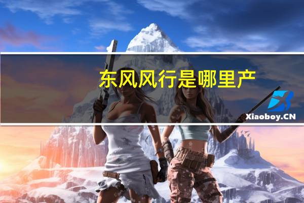 东风风行是哪里产