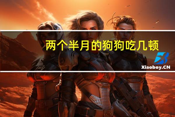 两个半月的狗狗吃几顿