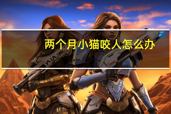 两个月小猫咬人怎么办