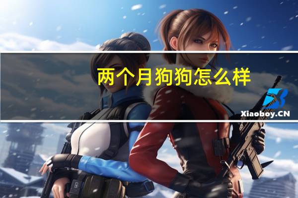 两个月狗狗怎么样
