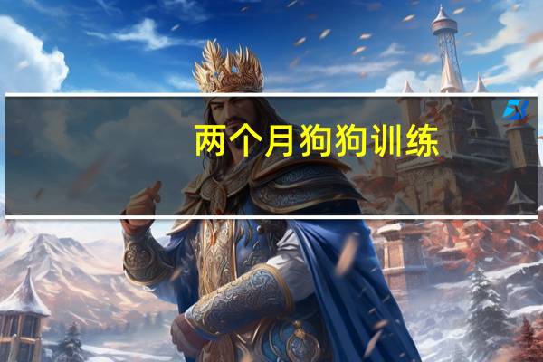 两个月狗狗训练