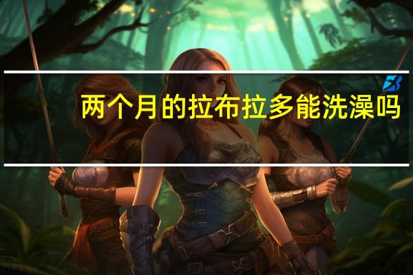 两个月的拉布拉多能洗澡吗