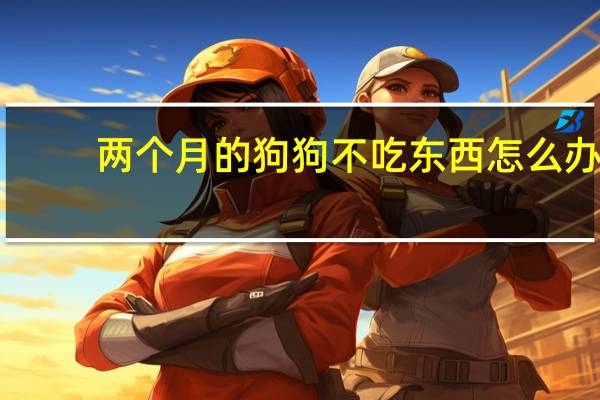 两个月的狗狗不吃东西怎么办