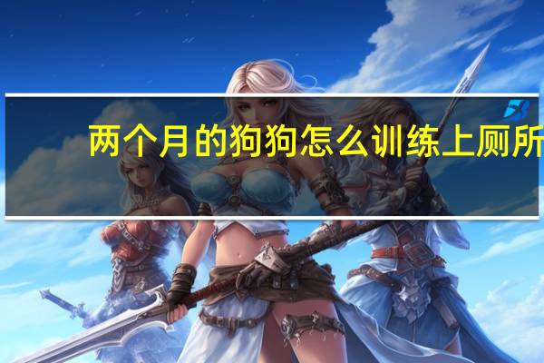 两个月的狗狗怎么训练上厕所