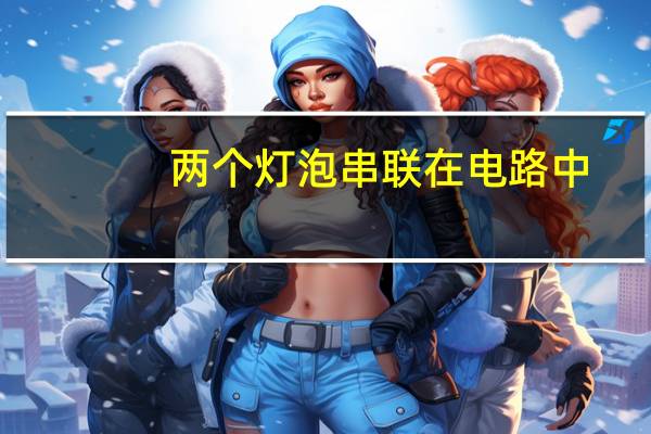 两个灯泡串联在电路中
