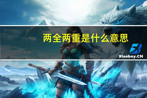 两全两重是什么意思