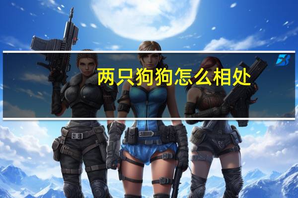两只狗狗怎么相处