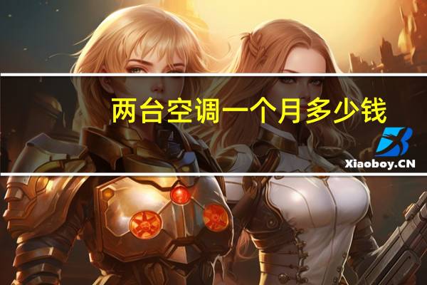 两台空调一个月多少钱