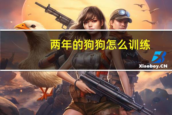 两年的狗狗怎么训练