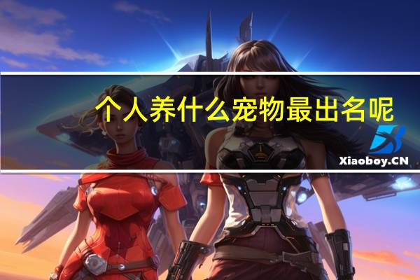 个人养什么宠物最出名呢
