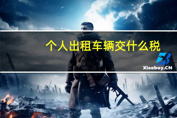 个人出租车辆交什么税