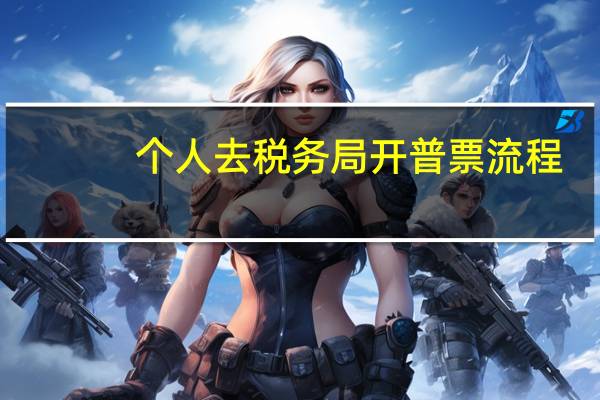 个人去税务局开普票流程